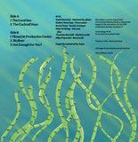 Idea Fire Company // Hot Enough For You? LP