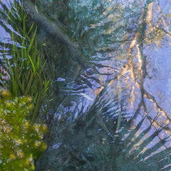 IKSRE // in all her forms (sound meditations vol. 2) TAPE