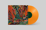 Akusmi // Terra Incognita LP [COLOR]