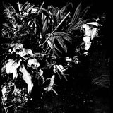 Jef Mertens // Orchid Alto LP