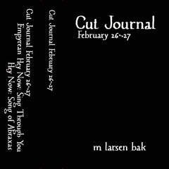 M Larsen-Bakk // Cut Journal February 26th-27th TAPE