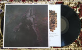 Jordan Ireland // Jordan Ireland With Purple Orchestra LP