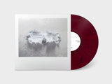 Joe Fujinoki // Glass Torso LP [COLOR]