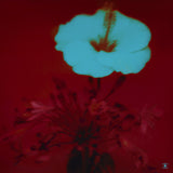 John Beltran // Sunrise And The Life We Live 2xLP