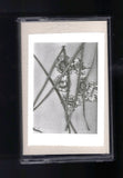 Jonas Torstensen // Arvesynd TAPE
