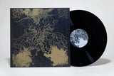 Shunsuke Oshio // karmic dream sequences LP