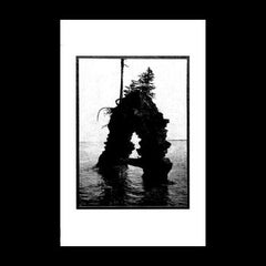 Kjostad / Matriarch split TAPE