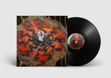 The Spectacle of Light Abductions 2 // Music for the Paintings of Vedran Kopljar LP