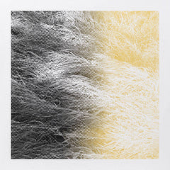 LAMIEE. // LUM LP [COLOR]