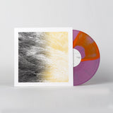 LAMIEE. // LUM LP [COLOR]