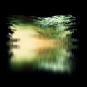 Multicast Dynamics // Language of Colours LP