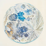 Shape of the Moon // When the land is laid bare LP