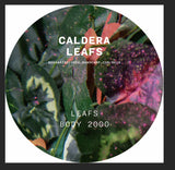 Caldera // Leafs 12inch