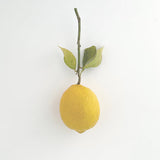 Kristofer Svensson, Maya Bennardo, Erik Blennow Calälv // For a Lemon Tree CD