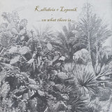 Kallabris + Lepenik // ...On What There Is... LP