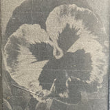 Privacy / LF // Light of my life split TAPE