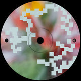 A.Morgan // Nothing Is Lost 12inch