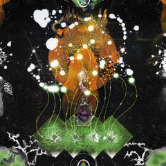 F. Ampism // The Vertical Luminous LP