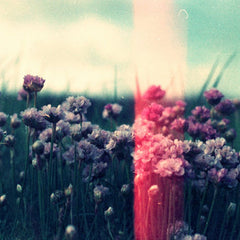 bvdub // The Catastrophe Machine CD