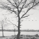 Rico Friebe // Maintenant LP