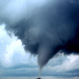 Molly Drag // Mammoth LP