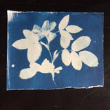 Шутка // Дневник - Март TAPE