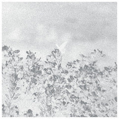 Marwan // Troebel Water 12inch