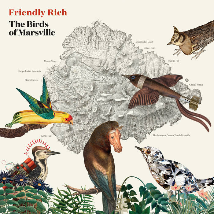 Friendly Rich // The Birds of Marsville LP – Tobira Records