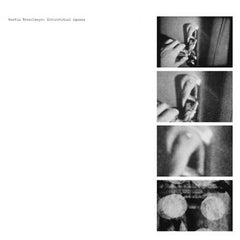 Martin Brandlmayr // Interstitial Spaces LP