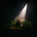 Andris Mattson // the understory CD