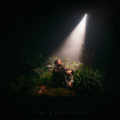 Andris Mattson // the understory CD