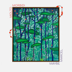 molto morbidi // Maybe Marcel LP [COLOR]