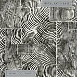 Marco Bosco, Alter Disco, Bárbara Boeing // Metalmadeira II LP