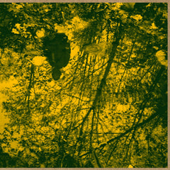 Brodie West Quintet // Meadow Of Dreams LP [COLOR]