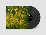 Brodie West Quintet // Meadow Of Dreams LP [COLOR]