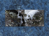 r beny // feedback memory CD