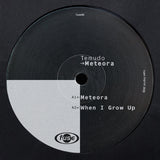 Temudo // Meteora 12inch