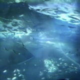 響く夢 // 水面に太陽光線 2xTAPE