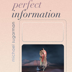 Michael Sugarman // Perfect Information BOOK+DIGI AUDIO