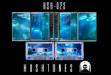 響く夢 // 水面に太陽光線 2xTAPE
