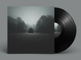 LSB // the middle 2x12inch