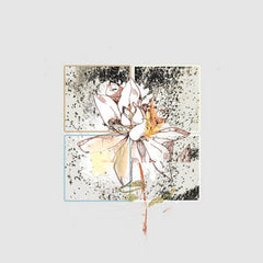 bu.re_ // seasons in migration TAPE