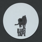Fields of Mist // Intergalactic Rose 12inch