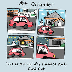 Mt. Oriander // This Is Not the Way I Wanted You to Find Out TAPE