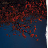 Joni Void + N NAO // Nature Morte LP [COLOR] / CD