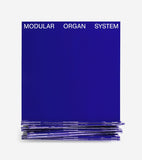 Phillip Sollmann and Konrad Sprenger // Modular Organ System LP