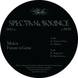 Molen // Future is Gone 12inch