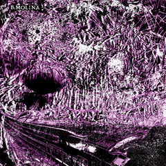 B. Molina // Aleación y Submersion LP