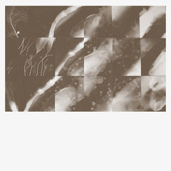 Peter Knight // For a Moment the Sky Knew My Name CD