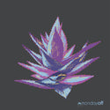 Hoedus // Monoceros 12inch